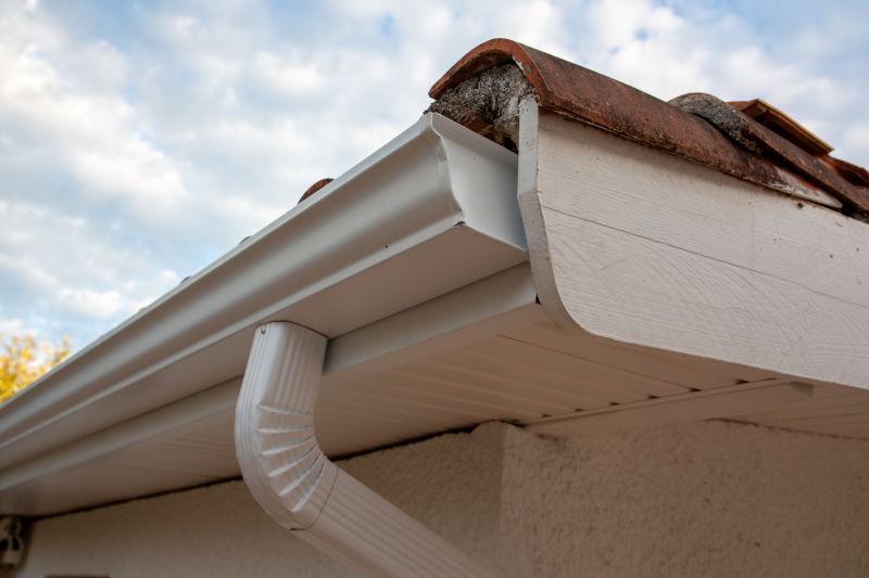 Gutter Securing