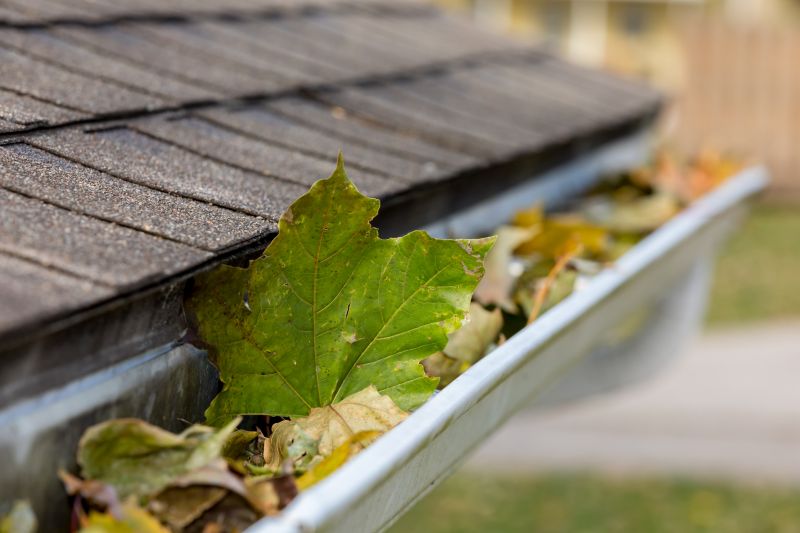 Fall Gutter Inspection